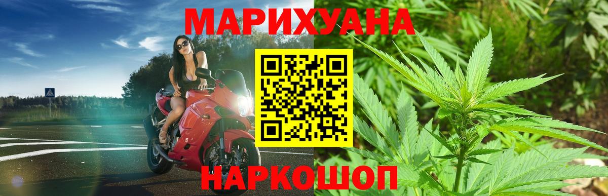Канабис OG Kush Клинцы